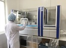 Quảng Nam bổ sung thanh tra việc mua vật tư phòng chống COVID