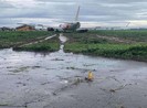 Vụ máy bay trượt khỏi đường băng: Tạm thu bằng lái phi công