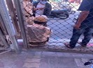 Ô tô vượt đèn đỏ gây tai nạn cho 1 CSGT