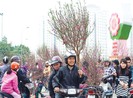 Thủ tướng ‘chốt’ lịch nghỉ tết Âm lịch 2021