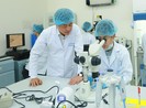 Cùng thầy trò GS Nguyễn Văn Thuận chờ 'khai sinh' bò nhân bản
