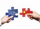 EU chuẩn y quyết định phê chuẩn EVFTA của Nghị viện châu Âu
