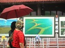 Người dân Hà Nội đội mưa, xem ảnh nghệ thuật
