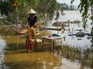 Australia hỗ trợ khẩn cấp cho Việt Nam 100.000 AUD