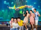 Hội nghị toàn quốc về Du lịch 2020 sẽ diễn ra tại Hội An