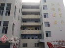 Trung Quốc: 51 trẻ mẫu giáo bị bỏng do tấn công hóa chất
