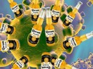 Cư dân mạng đổ xô tìm 'virus bia Corona'