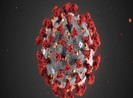 Chủng mới của virus Corona sẽ sớm có tên gọi chính thức