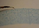 Alaska-Mỹ hứng động đất mạnh 7,5 độ Richter