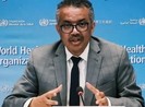 COVID-19: WHO cảnh báo 'chủ nghĩa dân tộc về vaccine'