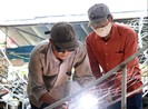 'Đột nhập' nơi sản xuất mô hình cho đường hoa Cần Thơ 2020
