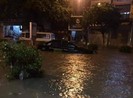 Cây xanh nhiều tuyến phố Hà Nội gục đổ sau bão số 3