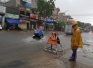 Bão số 3: Hà Nội đang mưa lớn, cây xanh gãy đổ la liệt