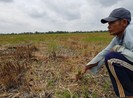 Nguy cơ hạn, mặn vượt lịch sử, Thủ tướng chỉ đạo khẩn