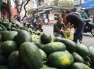 Công văn hỏa tốc về bán nông sản qua biên giới phía Bắc