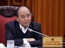 Thủ tướng: Mía đường tự đào thải nếu cạnh tranh kém
