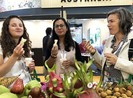 EU đóng cửa biên giới, hàng Việt bị ảnh hưởng ra sao?