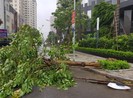 Áp thấp nhiệt đới có thể đi vào biển Đông, mạnh lên thành bão