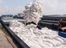 Việt Nam bước đầu trúng thầu 30 nghìn tấn gạo sang Philippines