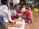 Vải thiều Việt Nam bán tại Nhật giá khủng 375.000 đồng/kg