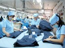 Đã có thông tư quy định quy tắc xuất xứ trong Hiệp định EVFTA