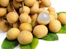 'Nhãn Việt Nam mình' bán 160.000 đồng/kg tại Úc