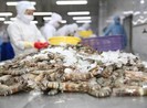 Tôm, cá Việt thắng lớn ở EU nhờ lợi thế trước đối thủ