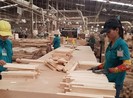 Tủ bếp, tủ nhà tắm là mặt hàng chiến lược tại thị trường Mỹ