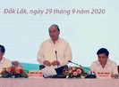 Thủ tướng: Phải làm rõ vì sao trồng mắc ca không ra trái