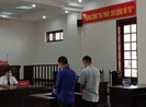 Bị cáo xin cho đồng phạm nhiễm HIV hưởng án nhẹ