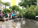 'Văn bản khẩn' cho HS Đà Nẵng nghỉ học do mưa bão là giả