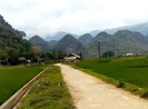 Nghi can sát hại 2 mẹ con ở Nghệ An đã tử vong do ăn lá ngón