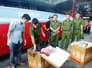 Nội tạng và thịt chó hôi thối suýt lên bàn nhậu