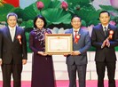 Phó Chủ tịch nước: Hà Tĩnh phát triển nhanh, bền vững