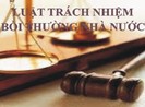 Người bị thiệt hại được hỗ trợ yêu cầu bồi thường nhà nước