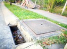 Góc ảnh: Những vỉ sắt không cánh mà bay