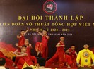 Cột mốc lịch sử của Liên đoàn Võ thuật tổng hợp Việt Nam
