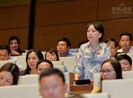'Không có vũ khí thì chỉ thanh tra giấy thôi'