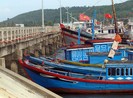 Nhà nước hỗ trợ 100% chi phí bảo hiểm về người