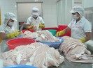 Mỹ vẫn áp thuế bán phá giá đối với cá tra VN
