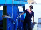 Tàu cá Bình Định bị tàu vũ trang Trung Quốc tấn công