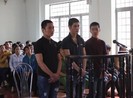 Nhóm thanh niên áp tải người ra rẫy đánh hội đồng hầu tòa