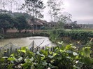 Thái Nguyên: Mùng 1 tết có mưa rào