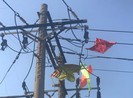 Lý do không ngờ gây mất điện trên diện rộng