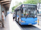 TP.HCM sắp đấu thầu khai thác 4 tuyến xe buýt