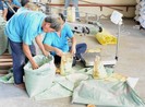 Cấp gạo hỗ trợ cứu đói cho 7 địa phương dịp Tết