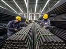 Tôn Hoa Sen nói gì về việc giảm lợi nhuận?