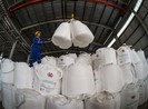 6 tháng năm 2019, TKV lãi 1.700 tỉ, nộp ngân sách 9.500 tỉ