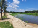 Khơi thông sông Cổ Cò, mở lối đô thị Điện Bàn