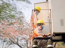 EVNNPC: Tổn thất điện năng tiếp tục giảm